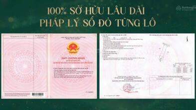 KVG Mozzadiso Nha Trang